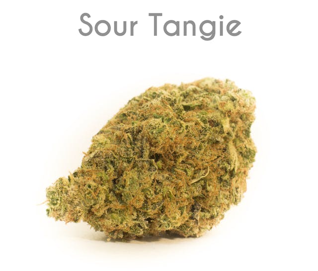 Sour Tangie (METRC)