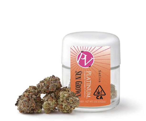 Platinum Sun Grown Flower