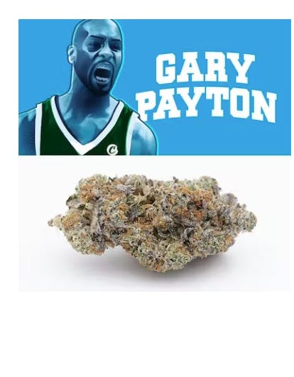 Gary Payton 3.5g