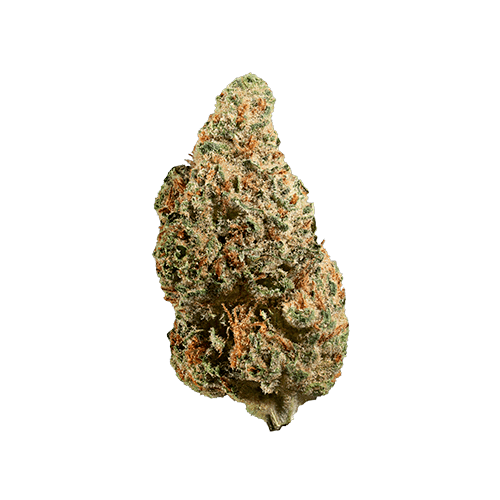 Bio Jesus Flower
