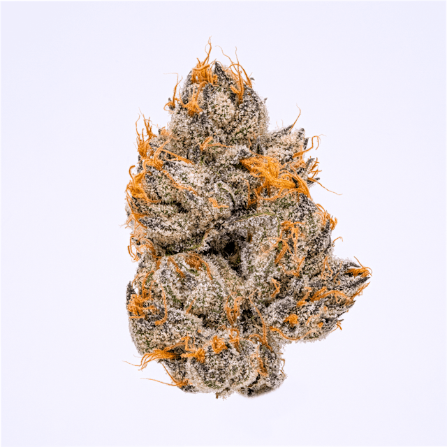 Gelato 33*
