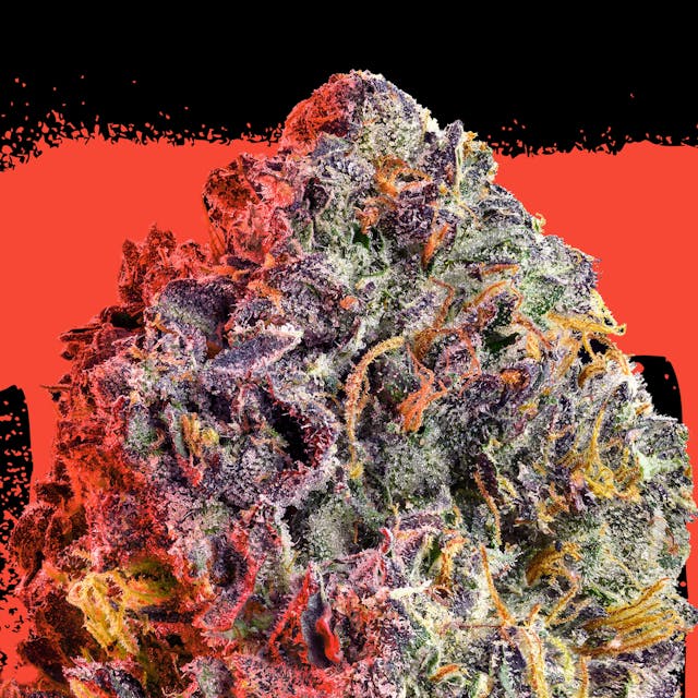 Gelato 3.5g*
