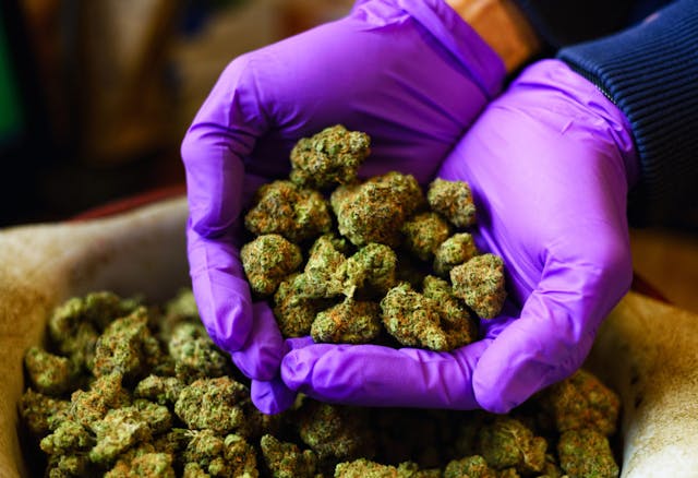 Top Shelf Flower